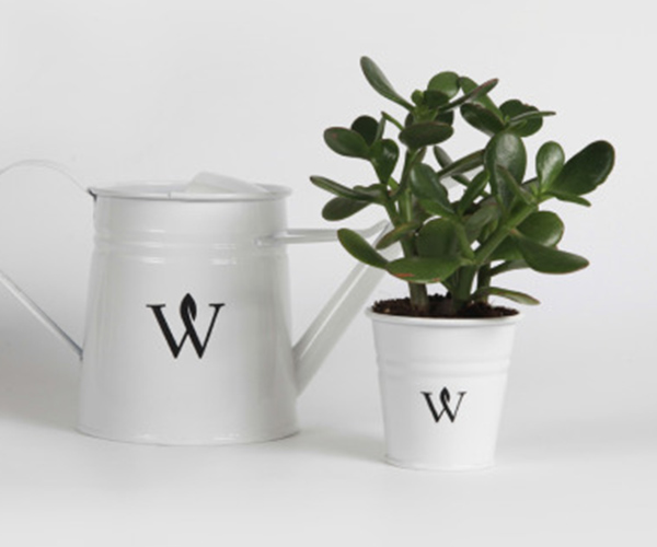 Modern kitchen design